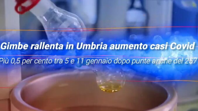 Per Gimbe rallenta in Umbria aumento nuovi casi Covid